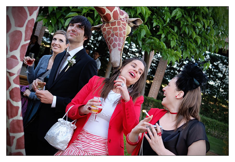 celebracion boda. Fotgrafo Bodas Toledo | Javier Tordesillas - Fotgrafo